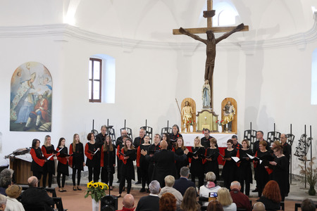 KOMORNI ZBOR FRAN GERBIČ LETNI KONCERT 54 FOTO LJUBO VUKELIČ